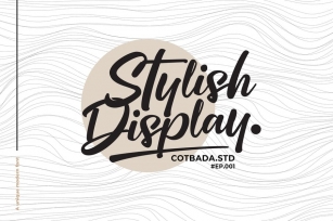 Stylish Display Font Font Download