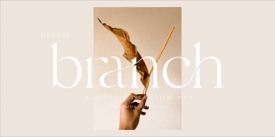 Hello Branch Font Download