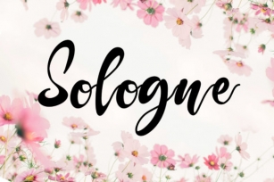 Sologne Font Download