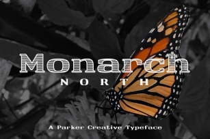 Monarch North Slab Serif Webfont Font Download
