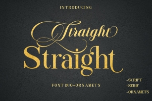 Straight Font Duo Plus Ornament Font Download