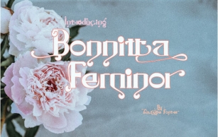 Bonnitta Feminor Font Download