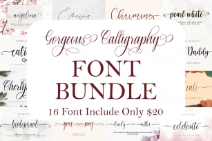 Gorgeous Calligraphy Font Bundle |Limited Time Offer!!! Font Download