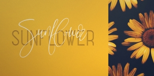 Sunflower Font Duo Font Download