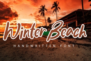 Winter Beach - Elegant Handwritten Font Font Download