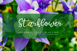 Starflower Font Download