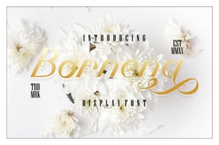Bornena - Elegant Display Font Font Download