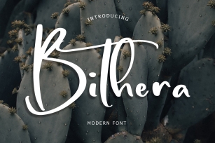 Bithera Modern Font Font Download