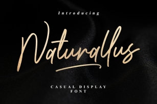Naturallus Stylish Font Font Download