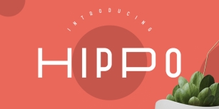 Hippo Font Download