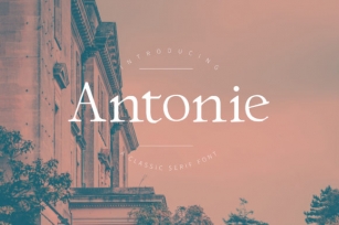 Antonie Font Download