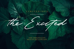 The Excited - Stylistic Signature Font Font Download
