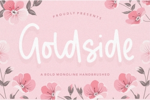 Goldside Bold Monoline Handbrushed Font Font Download