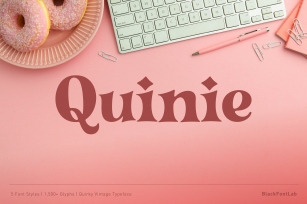 Quinie - Quirky Vintage Font Font Download