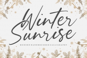 Winter Sunrise Modern Handbrushed Calligraphy Font Font Download