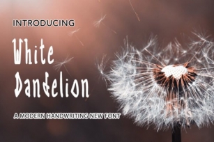 White Dandelion Font Download