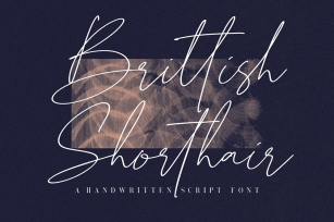 Brittish Shorthair Script Font Download