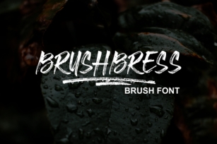 Brushbress Font Download