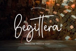 Begittera Monoline Modern Font Font Download
