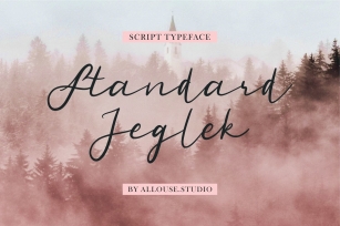 Web Font - Standard Jeglek - Script Typeface Font Download