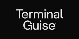 Terminal Guise Font Download