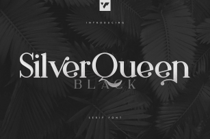 Silver Queen Serif Black Font Download
