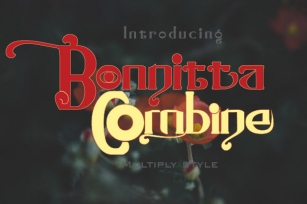 Bonnitta Combine Font Download