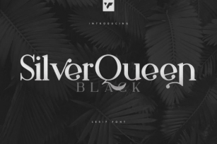 Silver Queen Font Download