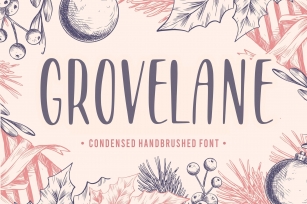 GROVELANE Condensed Handbrushed Font Font Download