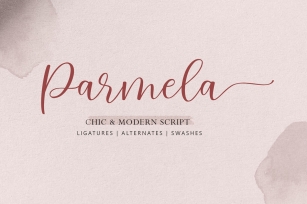 Parmela - Chic Modern Script Font Download