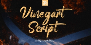 Vinegart Font Download