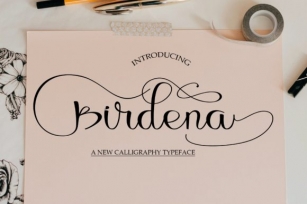 Birdena Font Download