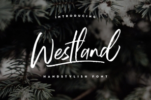 Westland Handstylish Font Font Download
