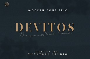 Devitos Modern & Elegant Serif Font Font Download