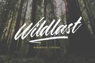 Wildlast Handbrush Type Font Download