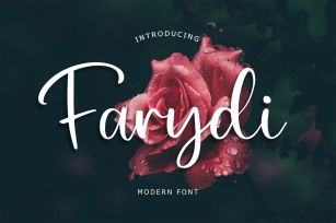 Farydi Modern Font Font Download