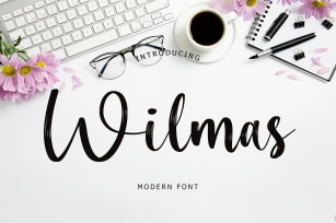 Wilmas Modern Font Font Download