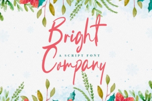 Bright Company Font Download
