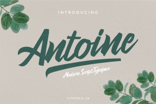 Antoine Modern Script Typeface Font Download