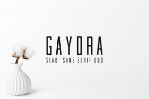 Gayora Slab Serif | Duo Font Font Download