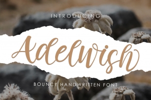 Adelwish Font Download
