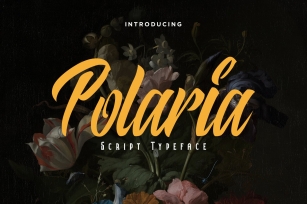 Polaria Script Typeface Font Download