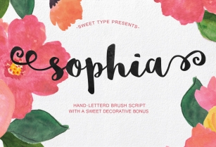 Sophia Hand-Lettered Font Download