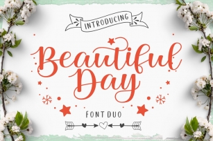 Beautiful Day Script Font DUO Font Download