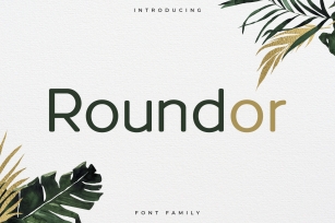 Roundor Font Family - Sans Serif Font Download