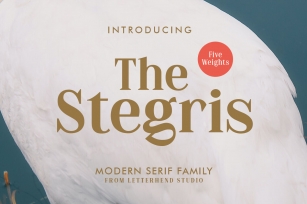 The Stegris Serif Family - 5 Weights Font Download