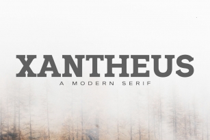 Xantheus Serif Font Family Font Download