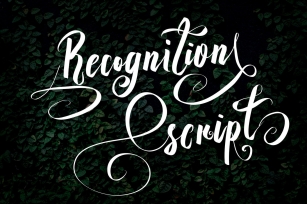 Recognition Script Font Download