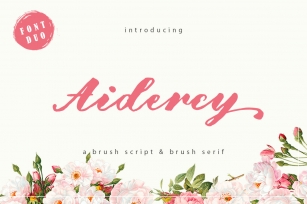 Aidercy Brush // Font Duo Font Download