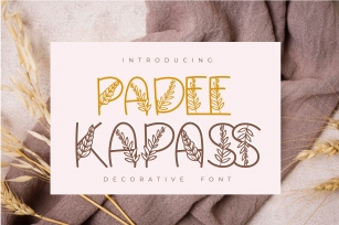 Padee Kapass | Decorative Font Font Download